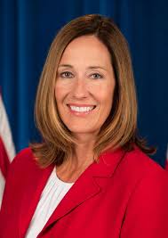 Designfreebies free InDesign newsletter template 2