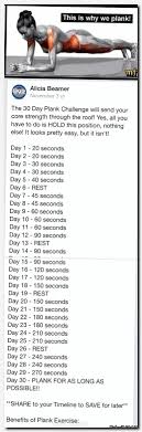 Lifetime fitness club levels diamond. Pin On Gym Workout Tips