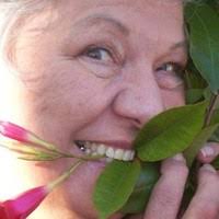 30+ "Victoria Lehmann" profiles