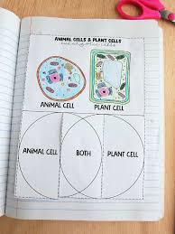 A flimsy flipbook won't allow you to get a good grip on the pages to flip them properly, and large pages will move too slowly as they encounter air resistance. Parts Of The Cell Interactive Notebook Foldable Interactivenotebook Cell Partsofthecell Animalcell P Cell Interactive Notebook Interactive Notebooks Cell
