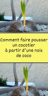Pin On Le Jardinage