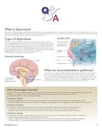 Understanding The Nervous System Flip Chart Scientific Publishing