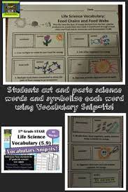 Life Science Vocabulary Activity For Intermediate Grades Students Match Vocabulary Science Vocabulary Activities Science Vocabulary Science Teaching Resources