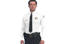 Pin On Security Service