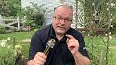 You don't have to struggle with getting a garden hose or a pressure. How To Replace A Stuck Garden Hose Nozzle Diy Youtube