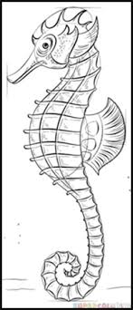 612x612 easy drawing ideas for kids cool drawings coloring 7 home design. How To Draw Seahorses Drawing Tutorials Drawing How To Draw Seahorse Drawing Lessons Step By Step Techniques For Cartoons Illustrations