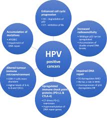How do i know if hpv caused my cancer? The Human Papillomavirus As A Common Pathogen In Oropharyngeal Anal And Cervical Cancers Clinical Oncology