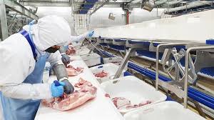 Maybe you would like to learn more about one of these? Masan To Inaugurate 2nd Meat Processing Complex Economy Vietnam News Politics Business Economy Society Life Sports Vietnam News
