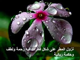 موضوعات علمية من الخطب الموضوع 102 وجعلنا من الماء كل شيء حي موسوعة النابلسي للعلوم الإسلامية