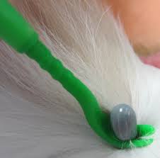 La tique en contact de l'alcool va stresser et dégager une sorte de venin si cette tique à la piroplasmose c'est le meilleurs moyen de le transmettre au chien ou au. Enlever Les Tiques De Votre Chat La Vie Des Chats