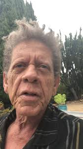 Blondie walked the red carpet last night in Hollywood with his daughter  Noelle for the premiere of The Beach Boys new documentary. Disney+ The  Beach Boys Brian Wilson Al Jardine