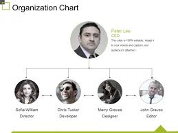 Organization Chart Ppt Powerpoint Presentation File Slide