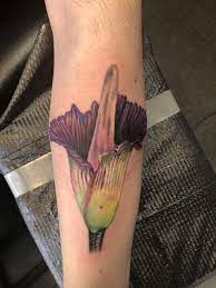 Corpse Flower Done By James Ward At Hypnotic Eye Tattoo In Janesville Wi Eye Tattoo Corpse Flower Plant Tattoo