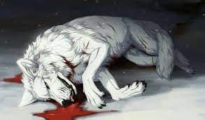 Pin By Azile On Too Many Fandoms Xp Anime Wolf Cute Wolf Drawings Wolf Spirit Animal