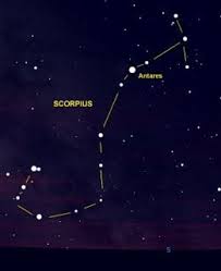 Pisces (ikan) adalah suatu zodiak rasi bintang berada antara akuarius di sebelah barat dan aries di sebelah timur. 40 Ide Rasi Bintang Bintang Astrologi Lambang Zodiak