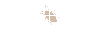 Get matched with top pest exterminators in winston salem, nc. Crawlspace Repair Winston Salem Nc Brown Pest Control