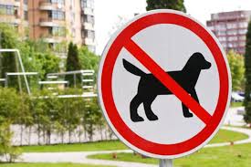 Online vermietung schnell & effizient: Wann Darf Der Vermieter Hunde Verbieten Mydog365 Magazin