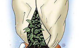 Aufblasbarer Outdoor Whirlpool Auf Terrasse Balkon Mit Verkleidung Isolierung Pflanzideen Balkonpflanzen Winterfest Balkon Pflanzen