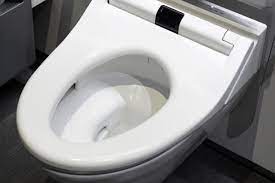 プロはここまでやる トイレ掃除のコツを聞いたら隅々までピカピカに サンキュ トイレ掃除 掃除 トイレ 便座