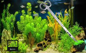 Best Aquarium Aquascaping Tools Kits In 2020 Aquascape Aquarium Accessories Aquarium