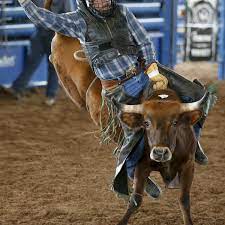 It was based on the skills required of the working vaqueros and later, cowboys, in what today is the western united states, western canada, and northern mexico. Schwulen Rodeo In Arkansas Bullenreiten Fur Die Homo Ehe Der Spiegel