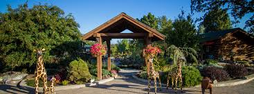 Evergreen home and garden showplace is the largest and most complete garden center in tennessee. Landscaping Plant Nursery In Mountain Home Ar