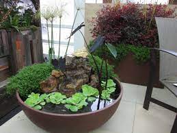 Pemilihan antara taman kering atau taman basah di rumah bisa ditentukan dari kebiasaan sang pemilik dan luasan area yang dimiliki. 6 Inspirasi Taman Mini Ini Bisa Bikin Rumah Tambah Asri Tanpa Perlu Lahan Luas