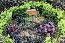 Bermuda grass is susceptible to a variety of fungal diseases including brown patch, dollar spot, leaf spot, phythium, fairy rings, and spring dead spot. Essential Tips On How To Care For Black Mondo Grass Gardenerdy