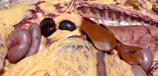 Image result for Copper Poisoning