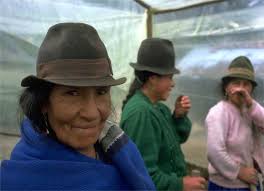 Strengthening smallholder institutions and organizations