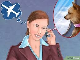 Now, an adjustment value of $20 is added to the fedex express saver service. 3 Ways To Ship Live Animals Wikihow
