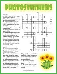 These printable biology crosswords cover the key biology vocabulary words that students need to master. 10 Sunee Ideas Science Lessons Photosynthesis Worksheet Photosynthesis Lessons