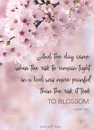 And The Day Came When The Risk To Remain Tight In A Bud Was More Painful Than The Risk It Took To Blossom Blossom Quotes Cherry Blossom Quotes Flower Quotes