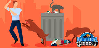 Here is what you can do to keep your venue safe from nasty intruders we also offer regular pest control inspections, which is the best preventative solution out there, that's for sure! How Should Food Workers Deter Pests From Outdoor Dumpsters
