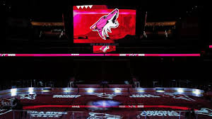 They are members of the pacific division of the western conference of the national hockey league (nhl). Coyotes Exploring Legal Action After Report About Business Practices