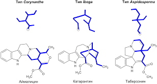 Файл:Monoterpenoid indole alkaloids 1 ru.svg — Википедия