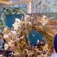 7th December - Christmas Wreath Masterclass with event image