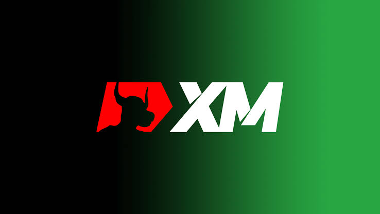Đánh giá sàn XM: Đây có phải là nền tảng giao dịch đáng tin cậy? - PIP  Penguin