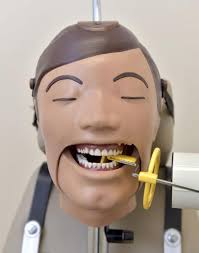 Filling needs — and teeth: LCCTC opens dental clinic to public