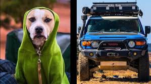Unforgettable Adventures: My Pups' First Overlanding Experience!