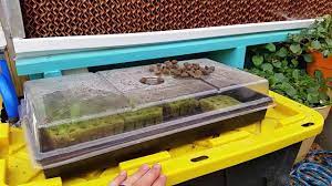 Wouldn't it be cool if your greenhouse takes care of everything on its own? Building A Greenhouse Cooling Wall Evaporative Wall And Exhaust Fan Youtube