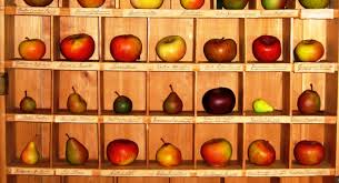 This work was started by j. Gartensuche Kob Bavendorf