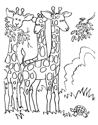 Click the realistic giraffe coloring pages to view printable version or color it online (compatible with ipad and android tablets). Giraffe Coloring Pages To Print 101 Coloring