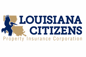 Check spelling or type a new query. Reinsurance Softens Louisiana Citizens Hit From Hurricanes Artemis Bm