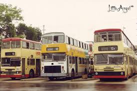 The site owner hides the web page description. æ·±æ°´åŸ—ç¢¼é ­ç¸½ç«™ é¦™æ¸¯å·´å£«å¤§å…¸ Fandom