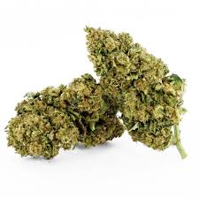 Maybe you would like to learn more about one of these? Wholesale Cbd Flowers And Buds Cbd Wholesale Australia