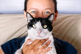 In edolas arc we learn that the proper name for his species is please explain the similarities between it and me. all right. How Cats Became Domesticated Science Of Us
