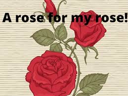 I learned how to slow down. Happy Rose Day 2020 Wishes Messages Quotes Images Facebook Whatsapp Statuses Times Of India