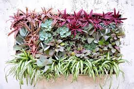 A vertical garden is truly a living wall. How To Make Your Own Diy Living Wall