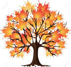 Realistic Fall Tree Drawing Google Search Tree Drawing Tree Illustration Maple Tree Tattoos